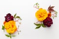 Autumn composition with flowers, leaves and berries on white background. Flat lay, copy space Royalty Free Stock Photo