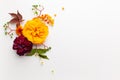 Autumn composition with flowers, leaves and berries on white background. Flat lay, copy space Royalty Free Stock Photo