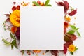 Autumn composition with flowers, leaves and berries on white background. Flat lay, copy space Royalty Free Stock Photo