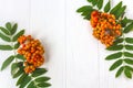 Autumn composition. Frame of leaves, rowan berries on a white wooden rustic background Royalty Free Stock Photo