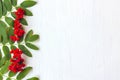 Autumn composition. Frame of leaves, rowan berries on a white wooden Royalty Free Stock Photo