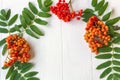 Autumn composition. Frame of leaves, rowan berries on a white wooden rustic background. Autumn background Royalty Free Stock Photo
