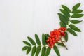 Autumn composition. Frame of leaves, rowan berries on a white wooden rustic background Royalty Free Stock Photo