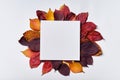 Autumn composition. Frame made of blank paper and leaves on white background. Fall concept. Autumn thanksgiving texture. Flat lay