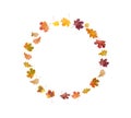 Autumn composition. Frame made of autumn color leaves on white background. Flat lay, top view, copy space