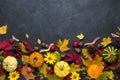Autumn composition. Frame made of different multicolor dried leaves and pumpkin on dark background. Autumn, fall concept. Flat lay Royalty Free Stock Photo