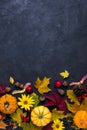 Autumn composition. Frame made of different multicolor dried leaves and pumpkin on dark background. Autumn, fall concept. Flat lay Royalty Free Stock Photo
