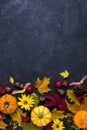 Autumn composition. Frame made of different multicolor dried leaves and pumpkin on dark background. Autumn, fall concept. Flat lay