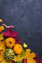 Autumn composition. Frame made of different multicolor dried leaves and pumpkin on dark background. Autumn, fall concept. Flat lay Royalty Free Stock Photo