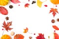 Autumn composition. Frame made of dried leaves, pumpkins, flowers, berries, nuts, cones on white background Royalty Free Stock Photo