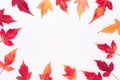 Autumn composition. Frame made of red maple leaves on white background. Copy space for your text. Autumn, fall concept Royalty Free Stock Photo