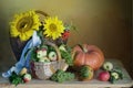 photo.Autumn composition of fruits and vegetables.Autumn still life with pumpkins,apples,sunflower,grapes Royalty Free Stock Photo