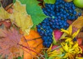 Autumn composition with fruits and vegetables Royalty Free Stock Photo