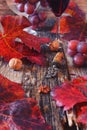 Autumn composition: glass of red wine, red grape leaves and vintage bottle stopper Royalty Free Stock Photo