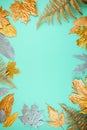 Autumn composition with golden leaves frame on blue mint background. Fall mockup with gold maple leaves. Flat lay, top view, copy Royalty Free Stock Photo