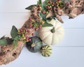 An autumn composition of gourd pumpkins, red berries and a branch