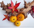An autumn composition of gourd pumpkins, red leaves and a branch