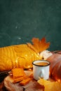 Autumn composition with a green background for Thanksgiving cards. Royalty Free Stock Photo