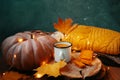 Autumn composition with a green background for Thanksgiving cards. Royalty Free Stock Photo