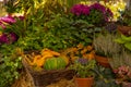 A variety of autumn flowers in ceramic pots and vegetables in baskets stand on a shelf covered with burlap and straw. Royalty Free Stock Photo