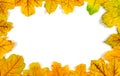 Autumn composition  backdrop on white. Royalty Free Stock Photo