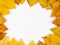 Autumn composition  indoor  on paper white  background . Royalty Free Stock Photo