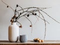 Autumn composition with larch tree branches with cones on a gray background.