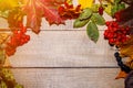 Autumn composition of leaves and berries on a light wooden background Royalty Free Stock Photo