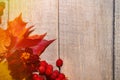 Autumn composition of leaves and berries on a light wooden background Royalty Free Stock Photo