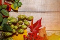 Autumn composition of leaves and berries on a light wooden background Royalty Free Stock Photo