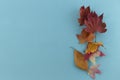 Autumn composition. Autumn leaves on blue background. Flat lay, top view, copy space