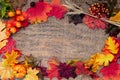 Autumn composition of autumn leaves, colorful pumpkins and apples. Top view, frame with space for text Royalty Free Stock Photo