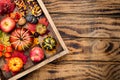 Autumn composition of autumn leaves, colorful pumpkins and apples. Top view, wooden background Royalty Free Stock Photo