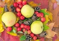 Autumn. Autumn composition with leaves, paradise apples and pine cones Royalty Free Stock Photo