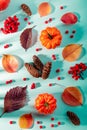 Autumn composition with leaves, pumpkins, rowan berries on mint background in harsh light. Fall, thanksgiving concept Royalty Free Stock Photo