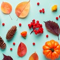 Autumn composition with leaves, pumpkins, rowan berries on mint background, flat lay. Fall, thanksgiving concept. Autumn Royalty Free Stock Photo