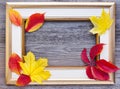 Autumn composition. A light picture frame with fall leaves on old wooden background. Royalty Free Stock Photo