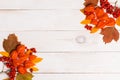 Autumn composition of lleaves, physalis, Rowan on white wooden background Royalty Free Stock Photo