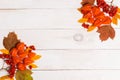 Autumn composition of lleaves, physalis, Rowan on white wooden backgroundFrame made of autumn dried leaves on white background. Fl