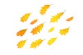 Autumn composition made of yellow red leaves on white background, isolated. Royalty Free Stock Photo