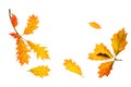 Autumn composition made of yellow red leaves on white background, isolated Royalty Free Stock Photo