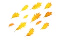 Autumn composition made of yellow red leaves on white background, isolated Royalty Free Stock Photo