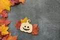 Autumn composition. Maple leaves and decorative pumpkin. Flat lay, top view Royalty Free Stock Photo