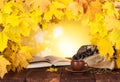 Autumn composition. Maple leaves, hot tea and open book Royalty Free Stock Photo