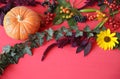 Autumn composition. Maple leaves, pumpkin, flowers and rowan, berries on red background. Royalty Free Stock Photo