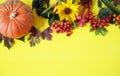 Autumn composition. Maple leaves, pumpkin, flowers and rowan, berries on yellow background. Royalty Free Stock Photo