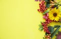 Autumn composition. Maple leaves, pumpkin, flowers and rowan, berries on yellow background. Royalty Free Stock Photo