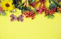 Autumn composition. Maple leaves, pumpkin, flowers and rowan, berries on yellow background. Royalty Free Stock Photo