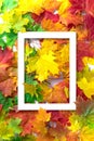 Autumn composition. Multi-colored maple leaves: red, green and yellow as a background and white frame for copy space. Autumn, fall Royalty Free Stock Photo