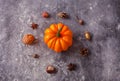 Autumn composition with pampkin, nuts and spices on the gray table. Circle shaped. Autumn concept. Minimalism